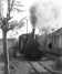 1950.jpg